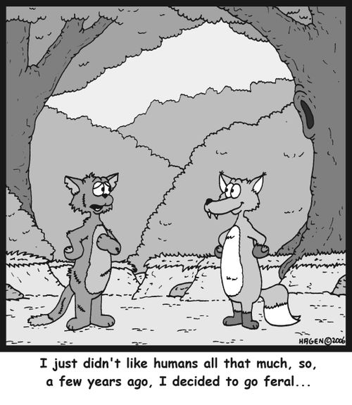 I just didn't like humans all that much, so, a few years ago, I decided to go feral...