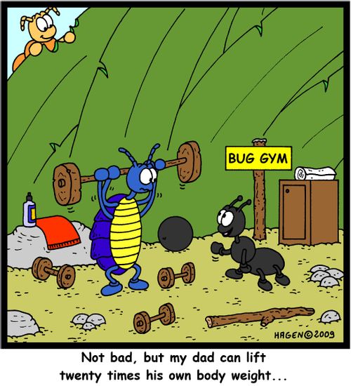 'Not bad, but my dad can lift twenty times his own body weight...'