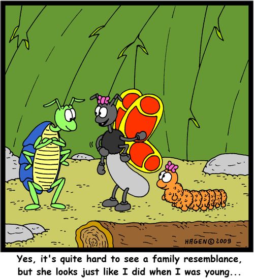 'Yes, it's quite hard to see a family resemblance, but she looks just like I did when I was young...'
