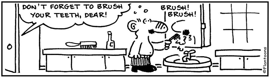 'Don't forget to brush your teeth.' 