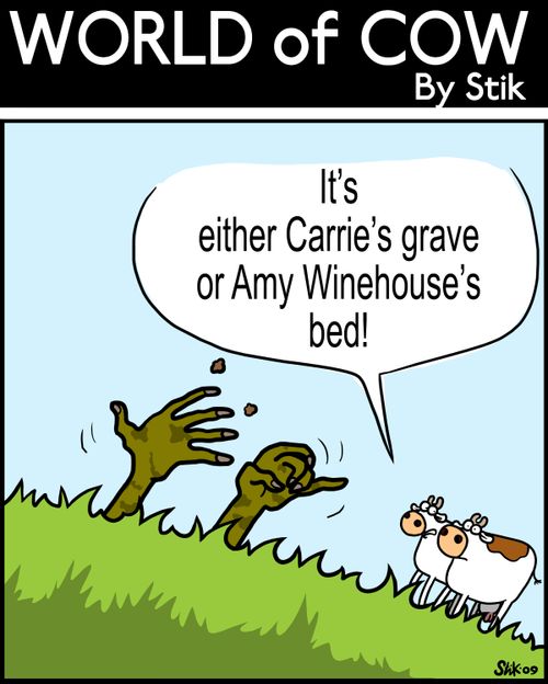 'It's either Carrie's grave or Amy Winehouse's bed'