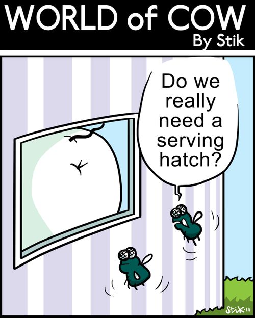 'Do we really need a serving hatch?'