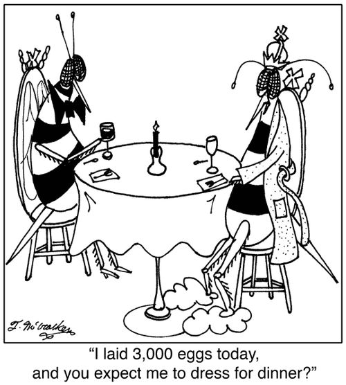 'I laid 3,000 eggs today, and you expect me to dress for dinner?'
