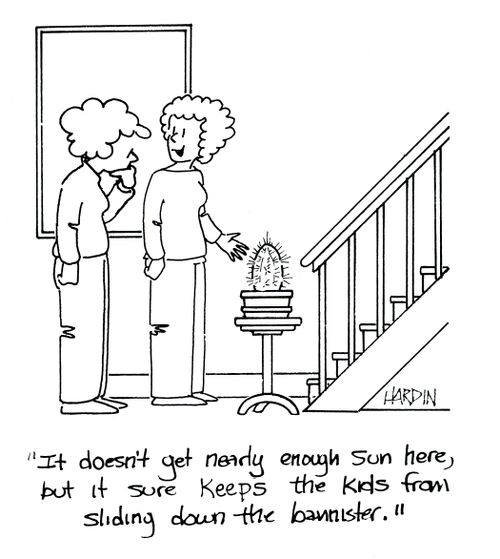 'It doesn't get nearly enough sun here, but it sure keeps the kids from sliding down the bannister.'