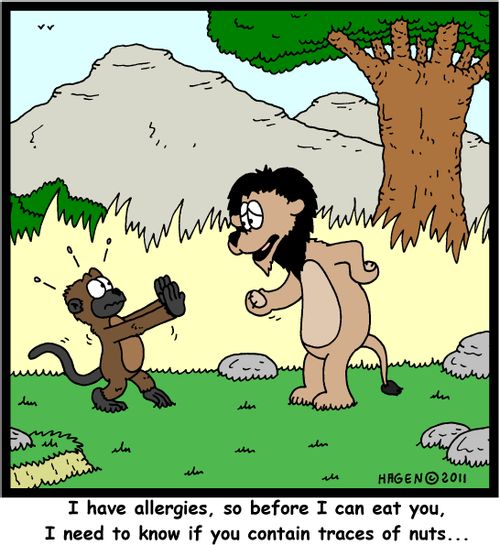'I have allergies, so before I can eat you, I need to know if you contain traces of nuts...'