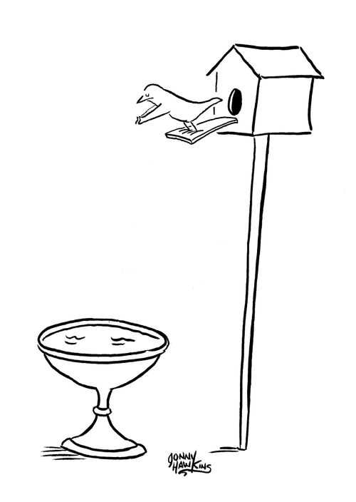 Bird about to dive from diving board into birdbath