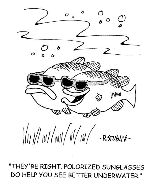'They're right.polorized sunglasses do help you see better underwater.'