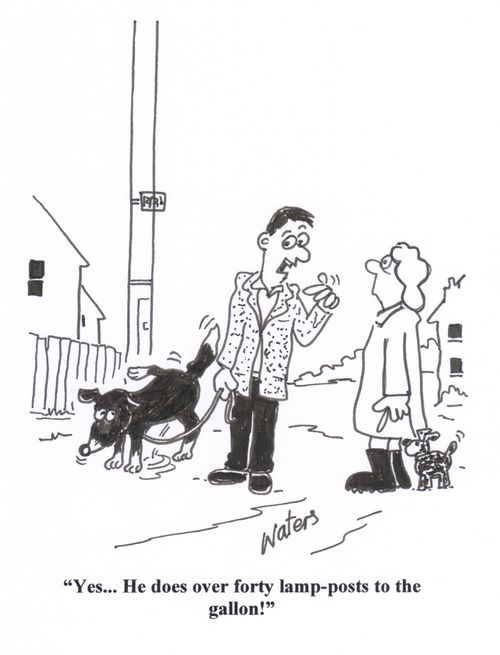 'Yes... he does over fourty lamposts to the gallon!'