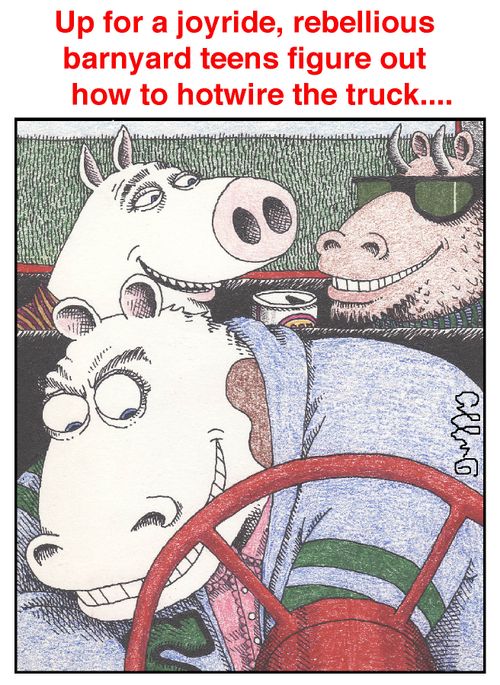 Up for a joyride, rebellious barnyard teens figure out how to hotwire the truck....