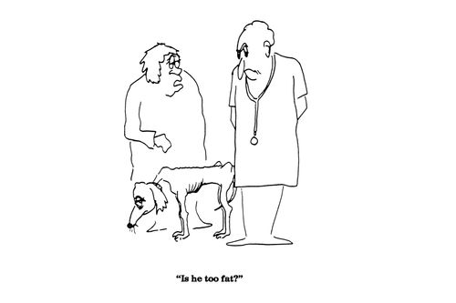 'Is he too fat?'