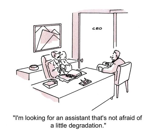 'I'm looking for an assistant that's not afraid of a little degradation.'