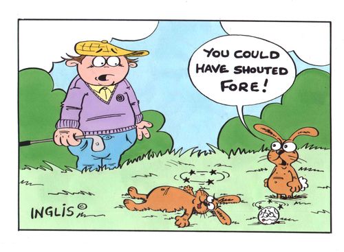 "You could have shouted Fore!"