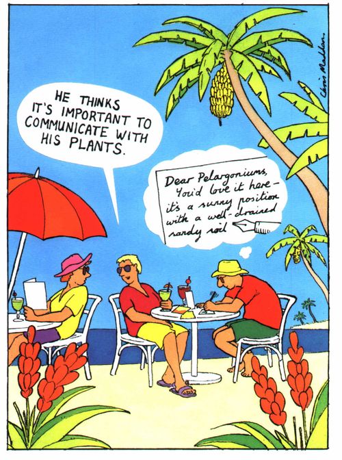 Man on holiday sending his plants a postcard