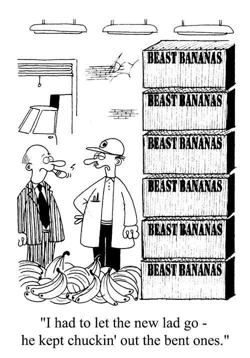Bananas - "I had to let the new lad go - he kept chuckin out the bent ones."