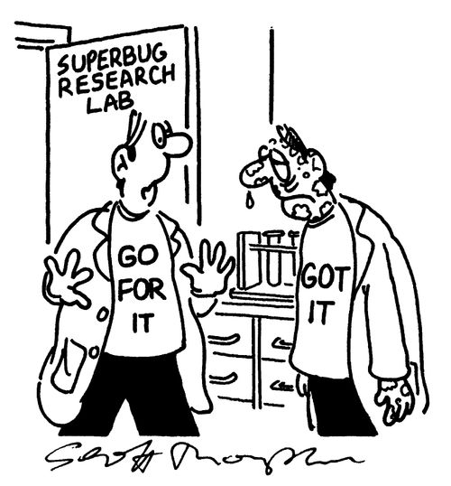 Superbug Research Go For It / Got it