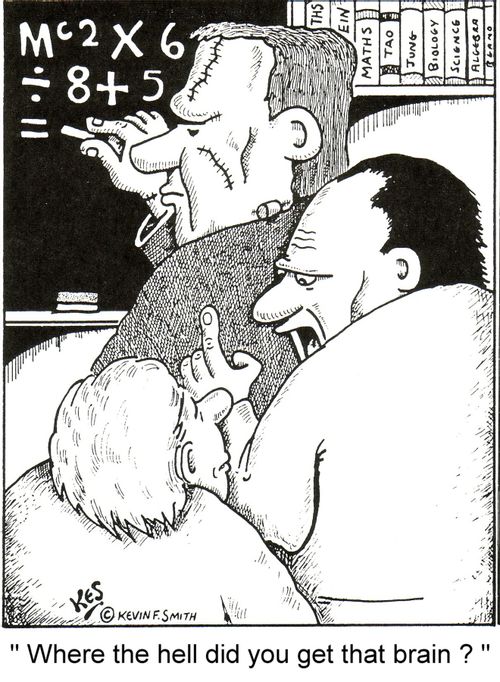 Where the hell did you get that brain ?