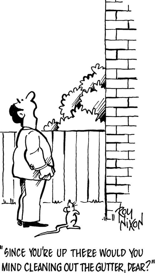 'Since you're up there would you mind cleaning out the gutter, dear?'
