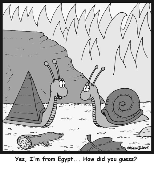 'Yes, I'm from Egypt... How did you guess?'
