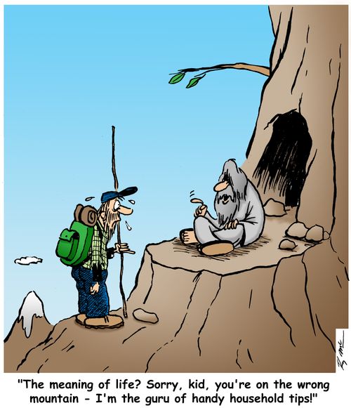 'The meaning of life? Sorry, kid, you're on the wrong mountain - I'm the guru of handy household tips!'