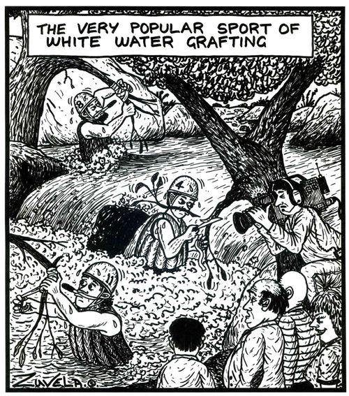 The very popular sport of White Water Grafting (competitors grafting branches to trees while fighting water rapids).