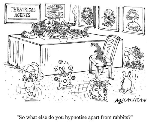 'So what else do you hyptnotise apart from rabbits?'