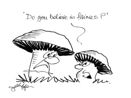 'Do you believe in fairies?'