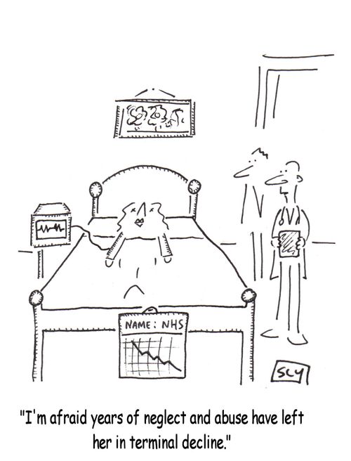 The NHS - 'I'm afraid years of neglect and abuse have left her in terminal decline.'