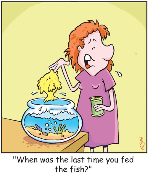 'When was the last time you fed the fish?'