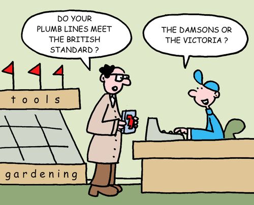 "Do your plumb lines meet the British standard?"  "The Damsons or the Victoria?"