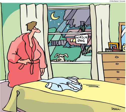 Watch Dog.