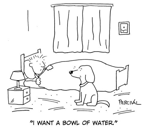 'I want a bowl of water.'