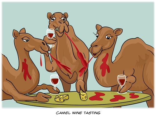 Camel Wine Tasting