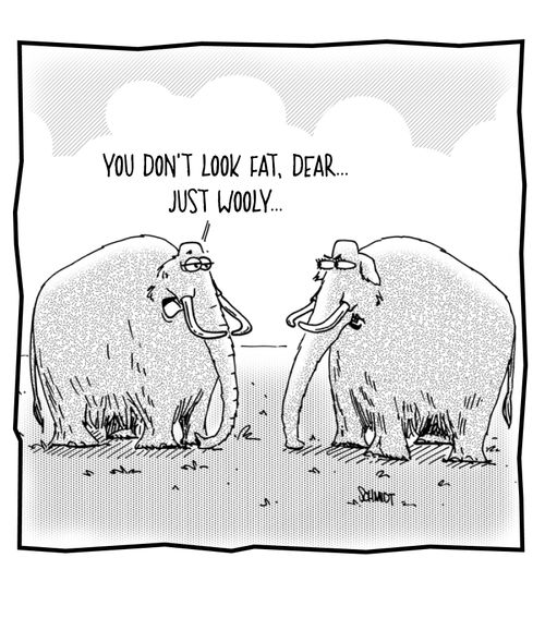'You don't look fat, dear... just wooly.'