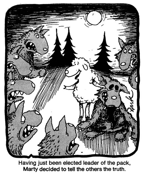Having Just Been Elected Leader Of The Pack Marty Decided To Tell The Others The Truth.