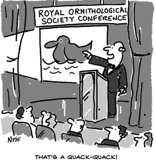 'That's a quack-quack'. Ornithological conference.