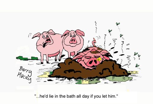 'He'd lie in the bath all day if you let him.'