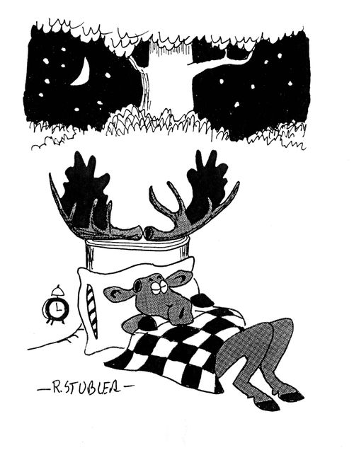 Sleeping Moose