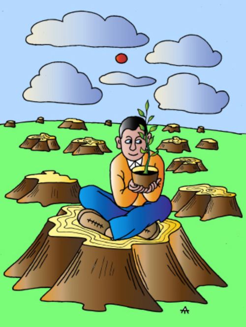 The Environmentalist Fighting Deforestation