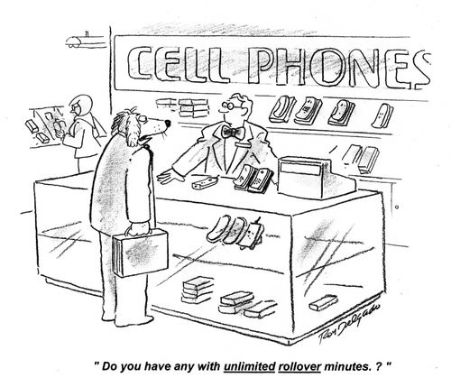 'Do you have any with unlimited rollover minutes?'