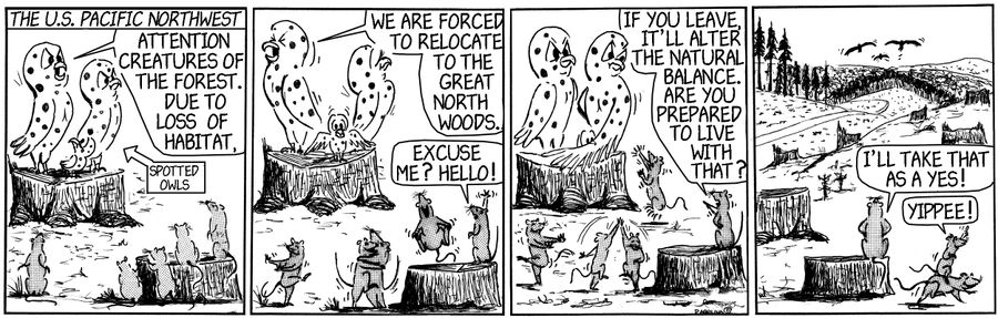Spotted Owl Migration