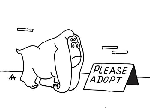 Please Adopt.