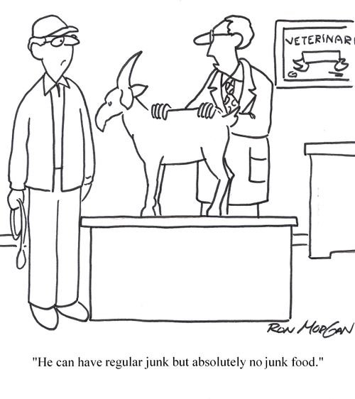 'He can have regular junk but absolutely no junk food.'
