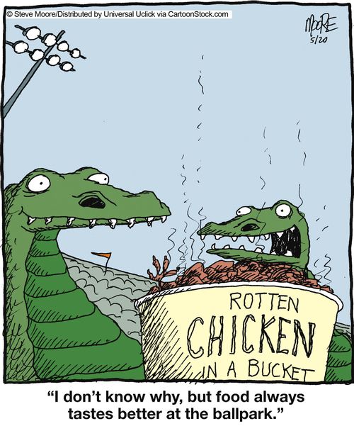 'I don't know why, but food always tastes better at the ballpark.'