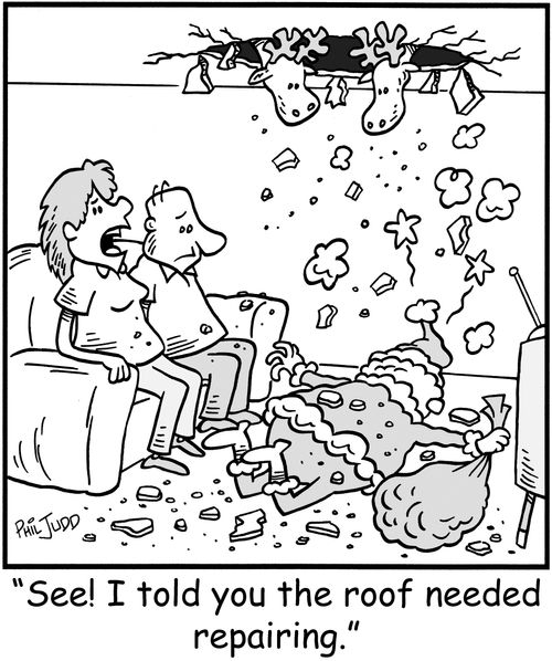 'See! I told you the roof needed repairing.'