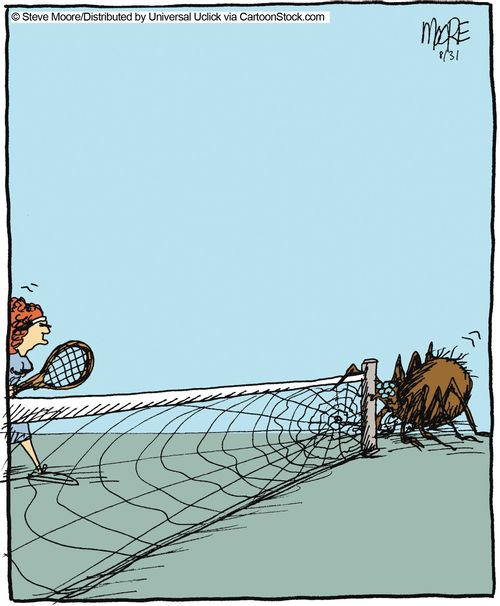 Tennis spider net.