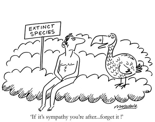 'If it's sympathy you're after... forget it !'