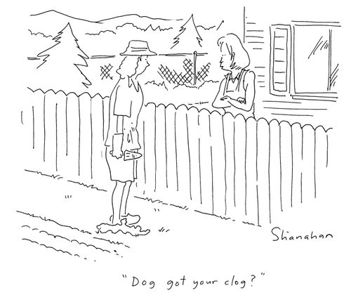 'Dog got your clog?'