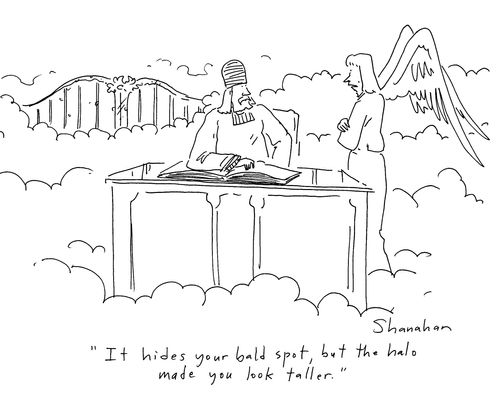 'It hides your bald spot, but the halo made you look taller.'