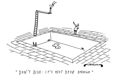 'Don't dive - It's not deep enough.'