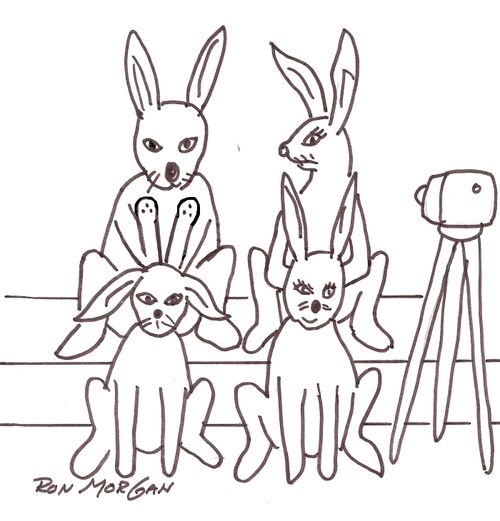 Father rabbit uses his front legs to make ears for his son as they pose for pictures.